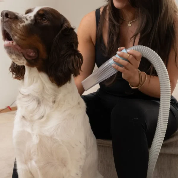 Pawfect Groom Pro: 7-in-1 Pet Grooming Kit - Image 9