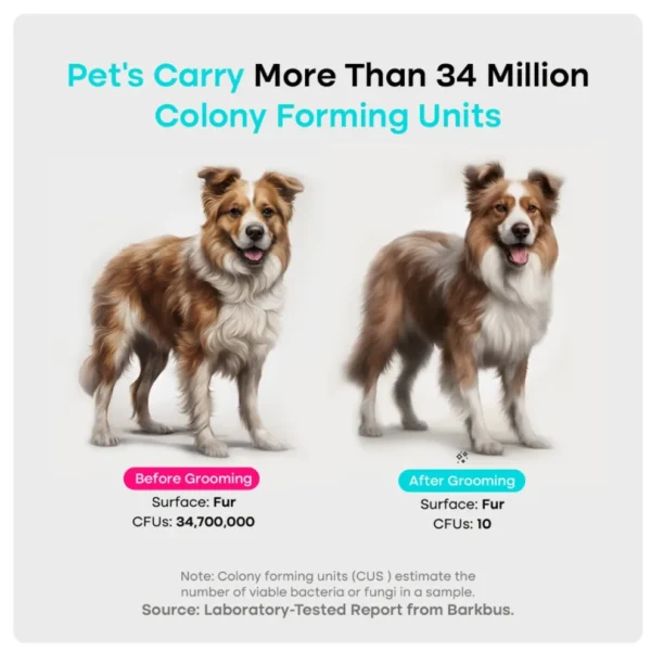 Pawfect Groom Pro: 7-in-1 Pet Grooming Kit - Image 5